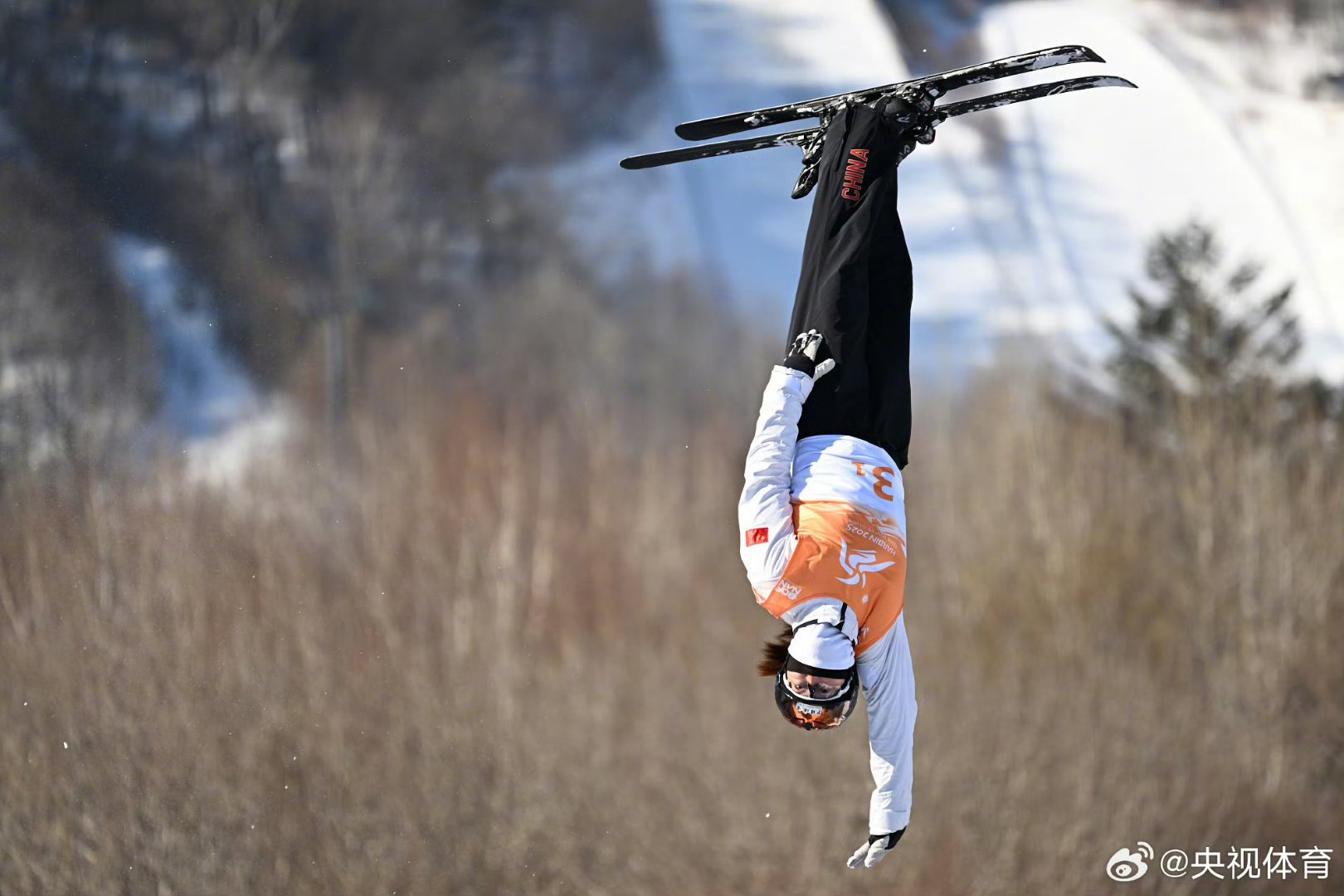 德国运动员在自由式滑雪比赛中获得银牌 德国运动员在自由式滑雪比赛中获得银牌