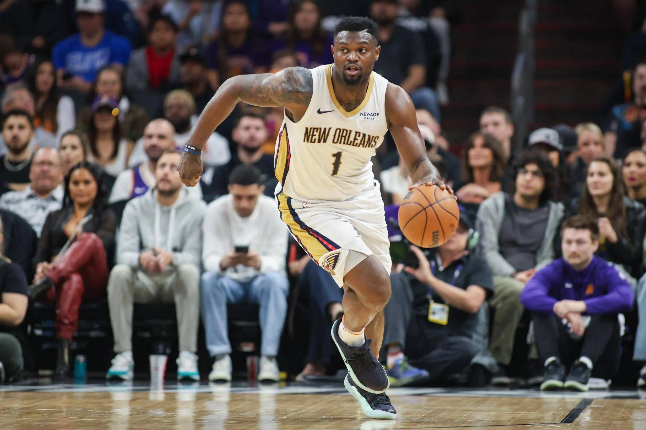 鹈鹕队球员个人表现超常引关注的简单介绍